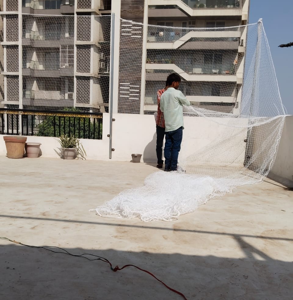 Terrace Top Net