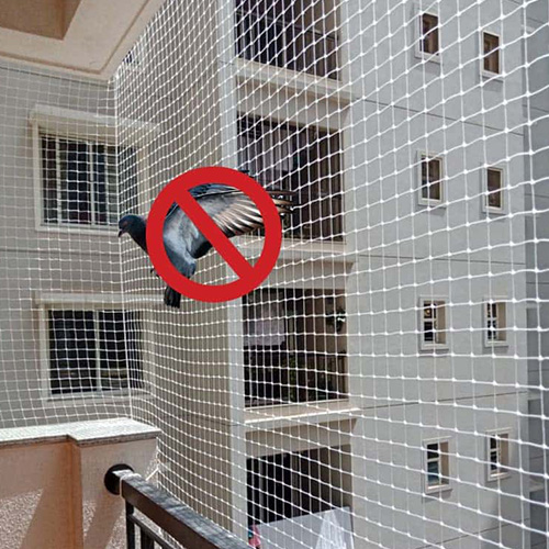 Pigeon Safety Net